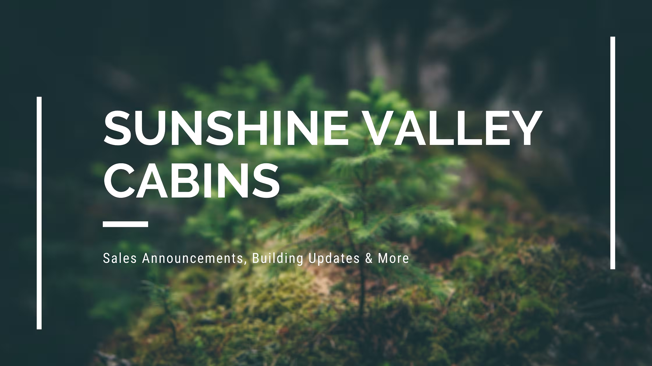 Buy Sunshine Valley Blog
