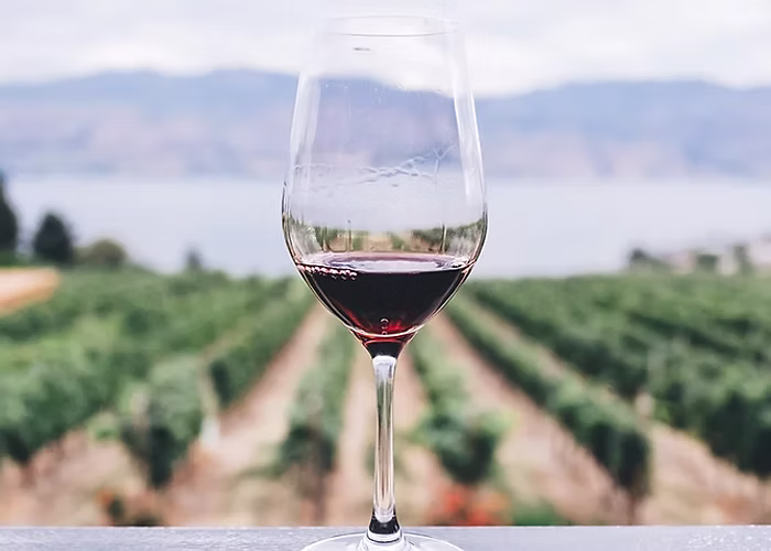 Wine Country Sunshine Valley Buy Sunshine Valley Experiences Wineries